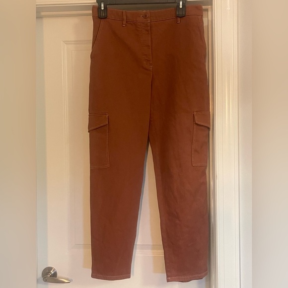 Aritzia Wilfred Free modern cargo pant  - Rust - Picture 6 of 7